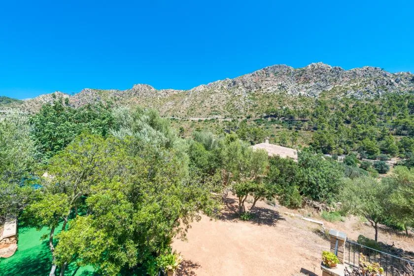 A wooded outdoor area sits beneath a rocky mountain ridge under a clear blue sky.
