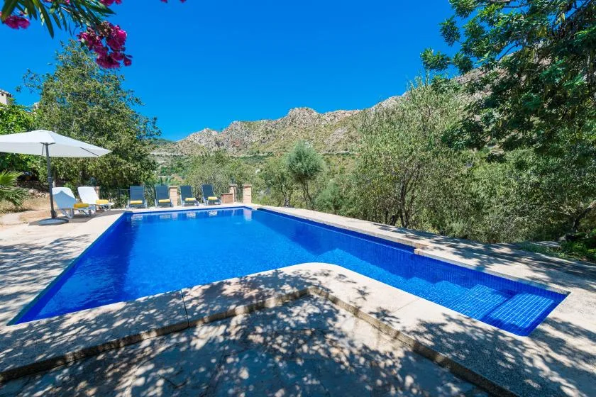 An outdoor swimming pool sits among trees, with rocky hills in the background.