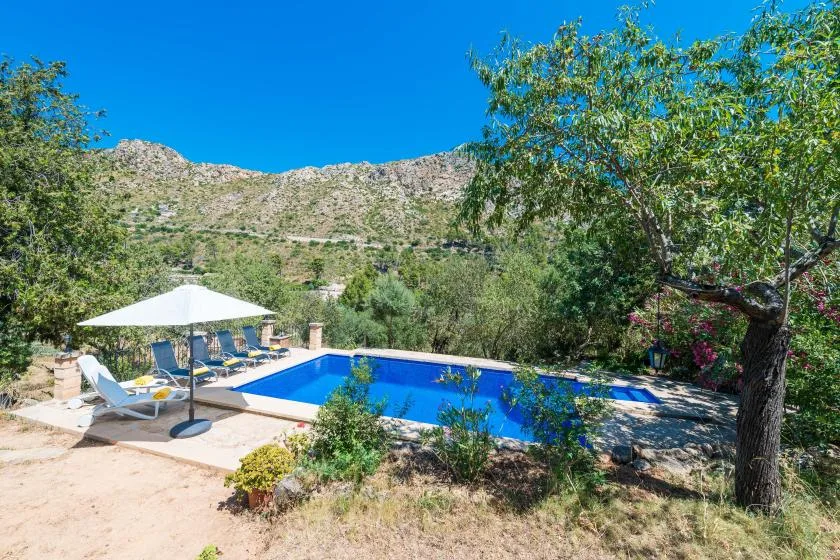 An outdoor swimming pool sits among trees, with a white umbrella beside it.