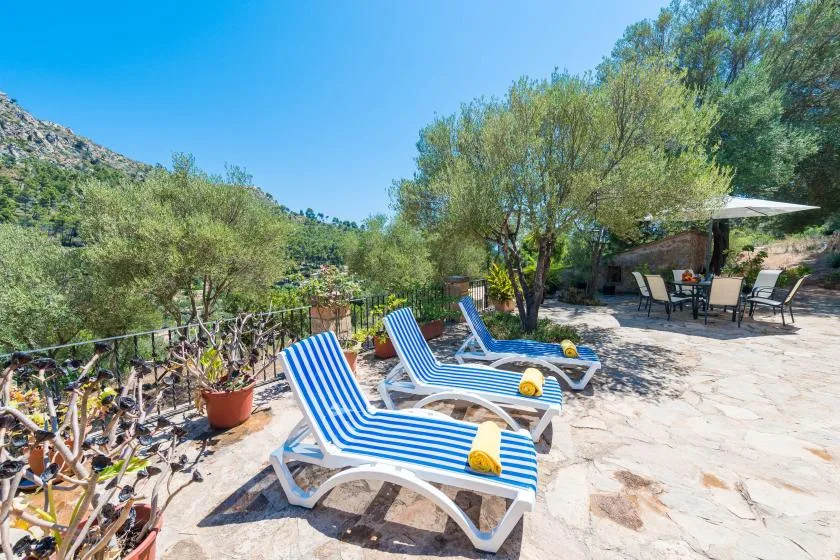 A sunny outdoor patio with striped loungers and shaded seating beneath trees.