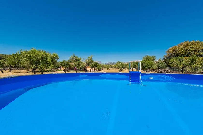 A blue swimming pool sits outdoors among trees beneath a clear sky.