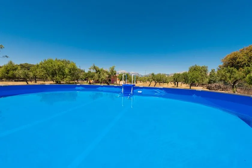 A large outdoor swimming pool sits beneath a clear blue sky, with trees around it.