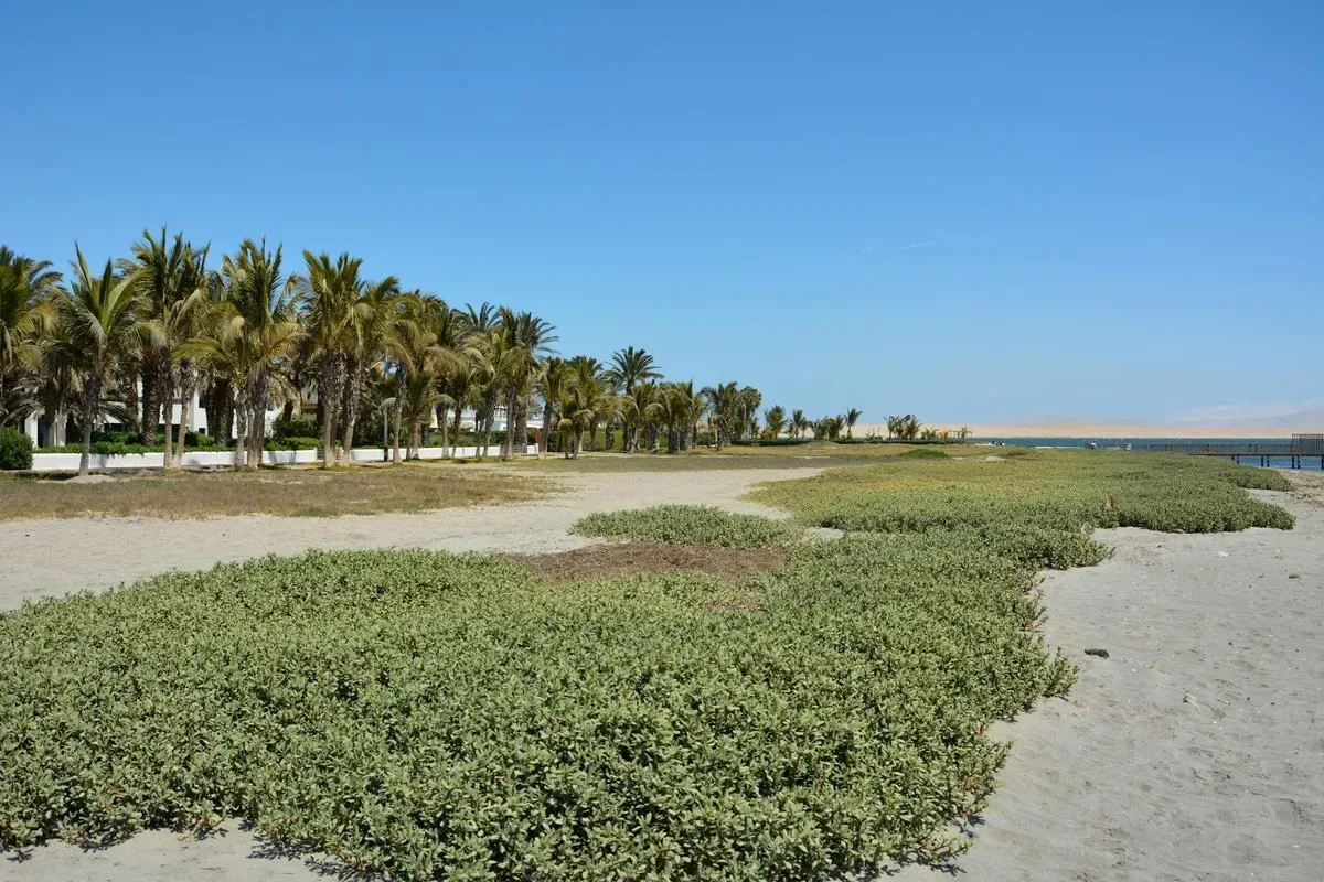 Modern 5BR with Private Pool in Paracas