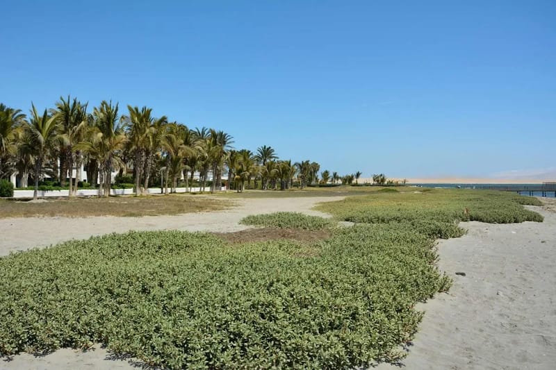 Modern 5BR with Private Pool in Paracas