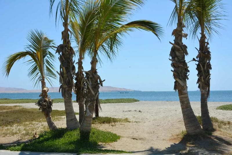 Modern 5BR with Private Pool in Paracas