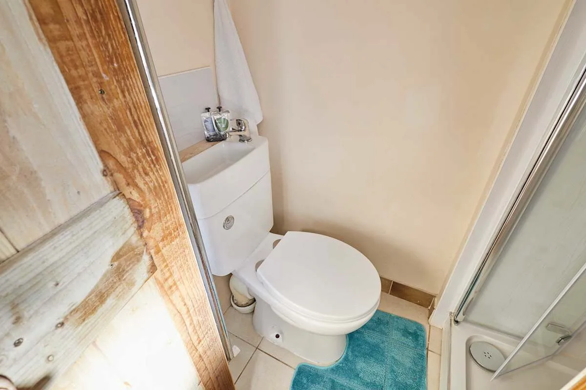 A bathroom with a toilet, sink, and glass shower.