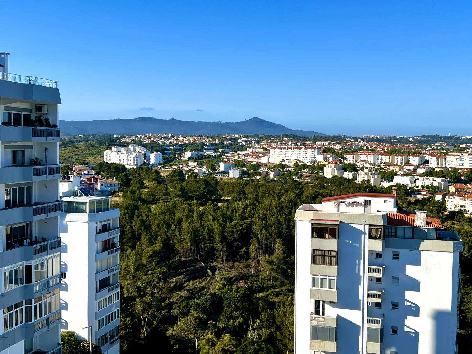 Una vista amplia de la ciudad muestra edificios, árboles y colinas lejanas bajo un cielo despejado.