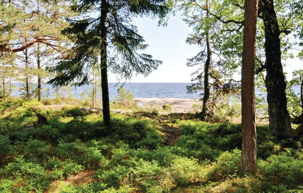 A wooded coastal scene with trees framing a view of the water.