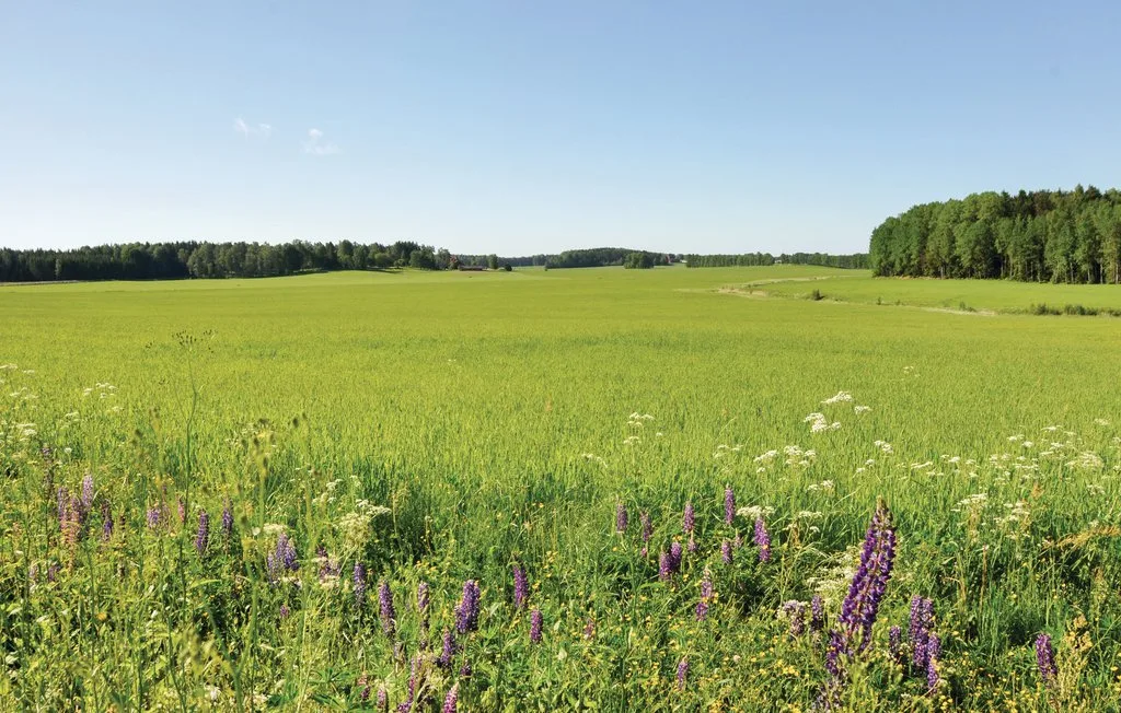 A broad green meadow stretches toward distant tree lines under a clear sky.