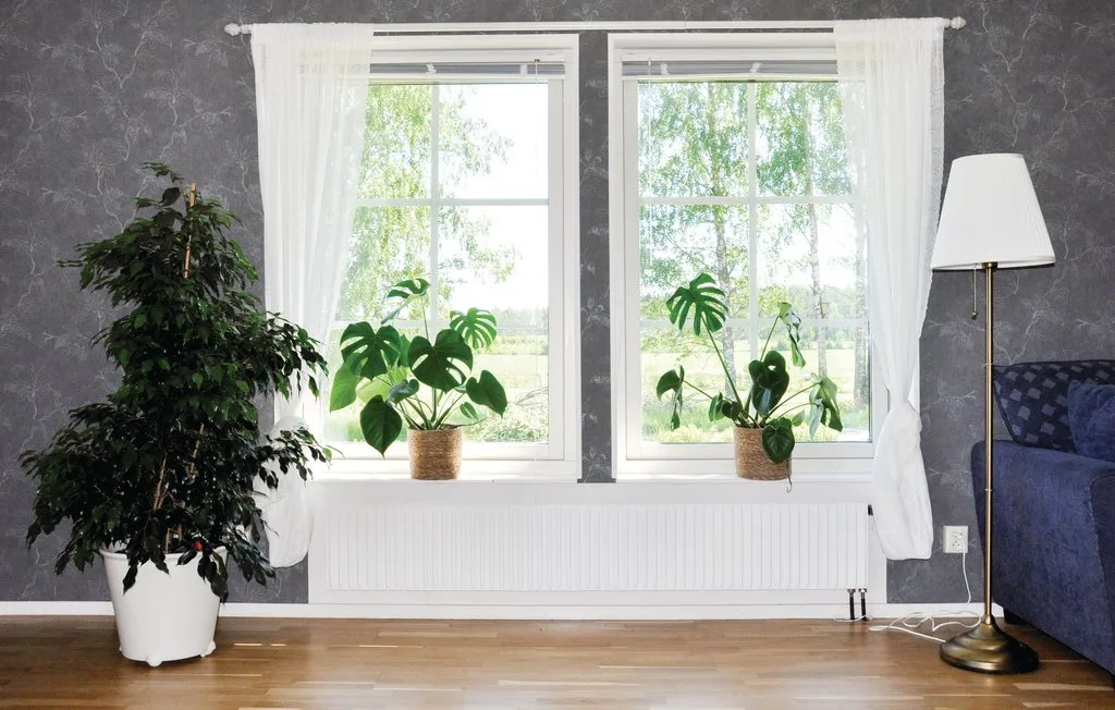 A bright living room with large windows, indoor plants, and a floor lamp.