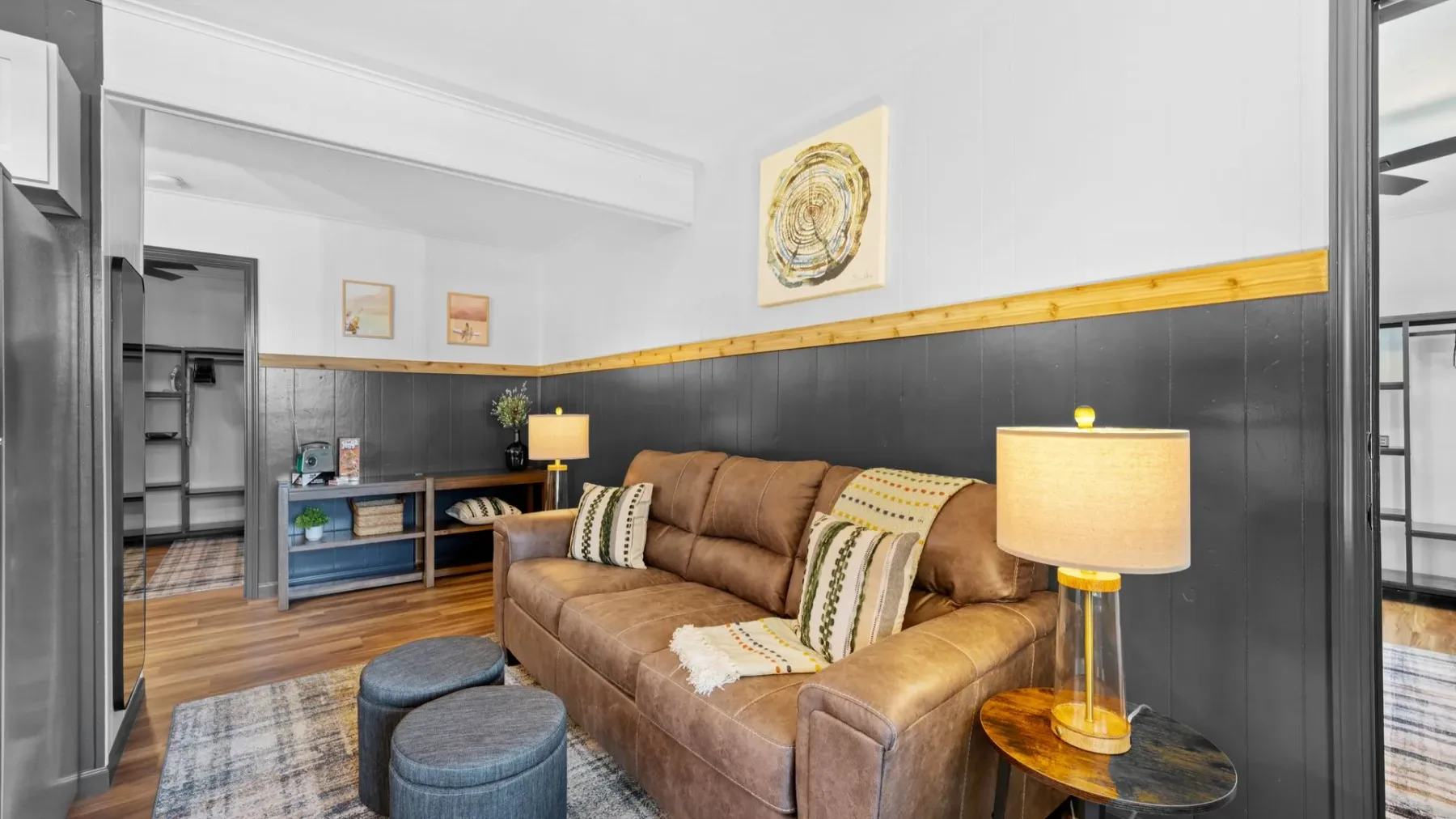 Living room with brown sofa
