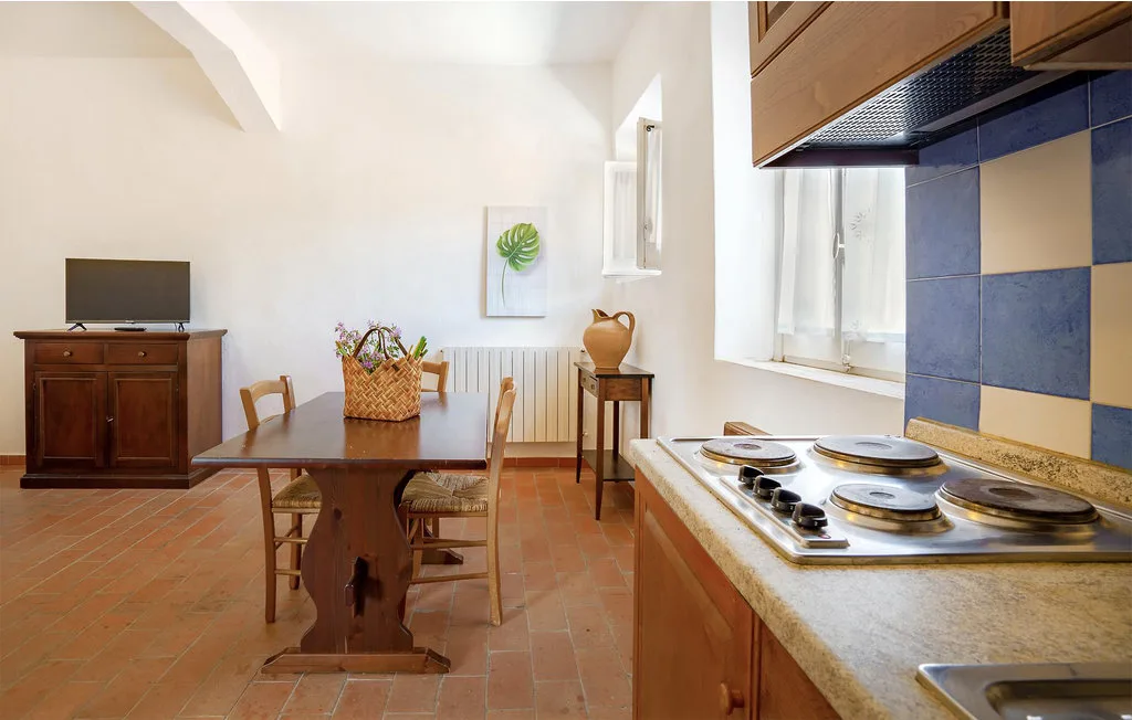 A kitchen and dining area with a wooden table and countertop cooktop.