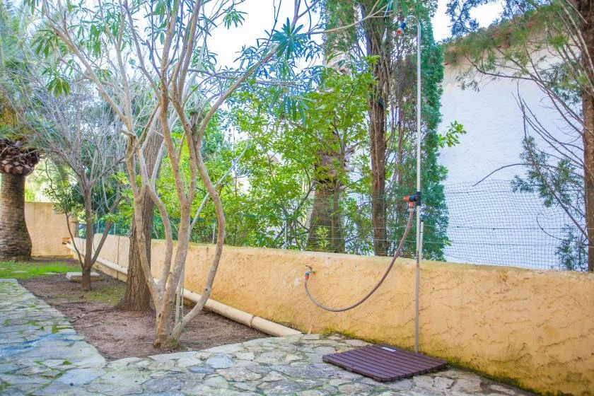 A garden path runs beside trees and a low yellow wall.