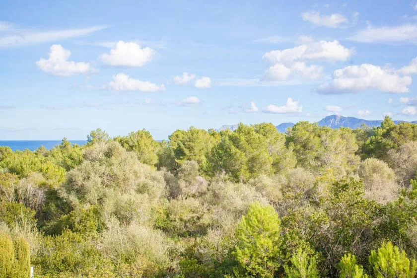 A broad expanse of green vegetation stretches toward the sea beneath a cloudy sky.