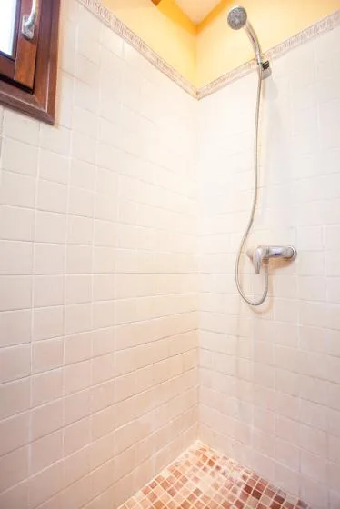 A tiled shower area with a handheld showerhead and small mosaic floor tiles.