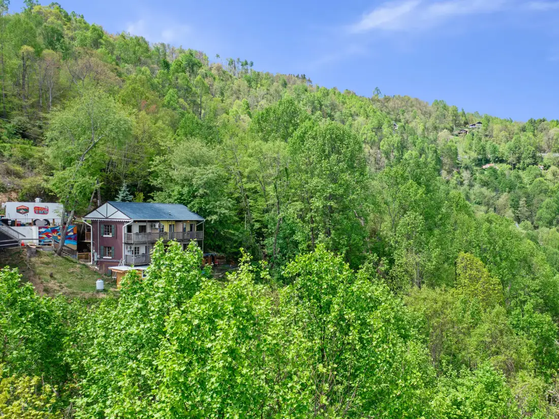 Foto del alojamiento Alpine Inn