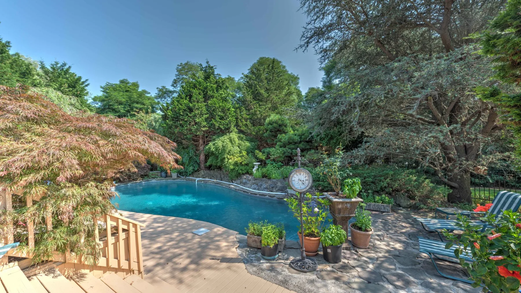 An outdoor swimming pool surrounded by trees, potted plants, and lounge chairs.