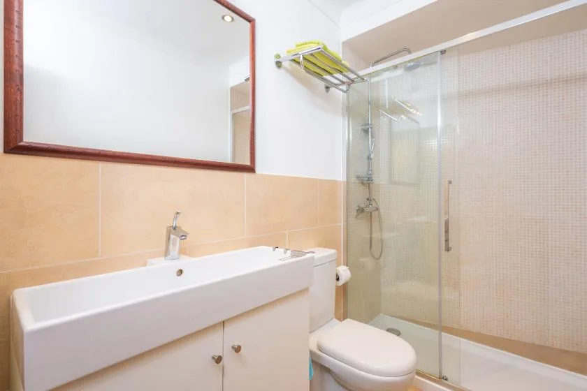 Un baño con lavabo, espejo, inodoro y ducha de cristal.