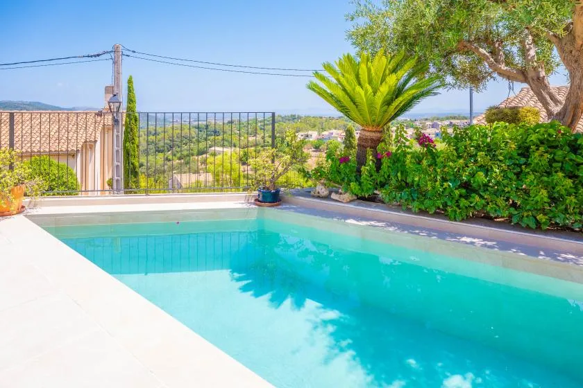 Una piscina junto a una terraza, con plantas frondosas junto a la barandilla.