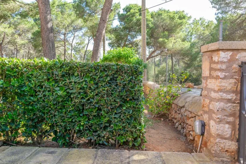 A garden path runs between a dense hedge and a low stone wall.