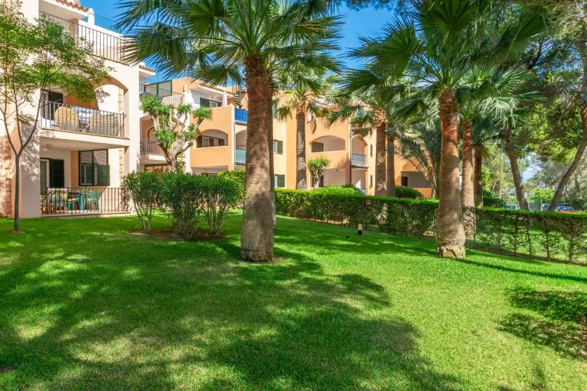 Edificios de apartamentos se alzan detrás de un césped verde con palmeras y setos.