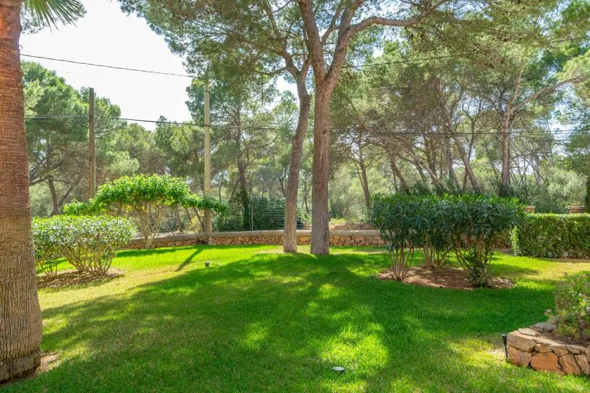A grassy garden with mature trees, shrubs, and a low stone border.