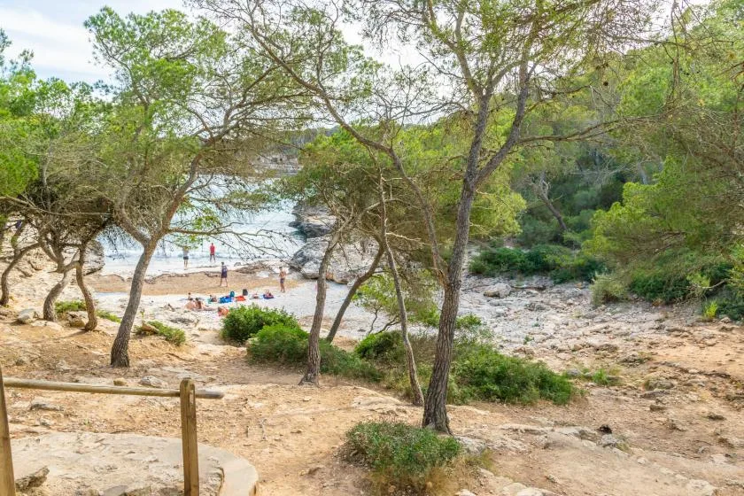 A sandy beach and rocky shoreline are visible through trees and coastal greenery.