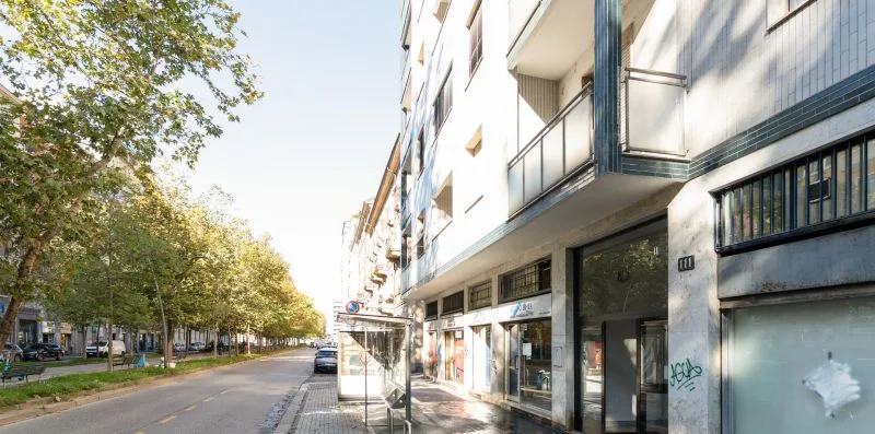 A sunny urban street lined with trees and a multi-story building.
