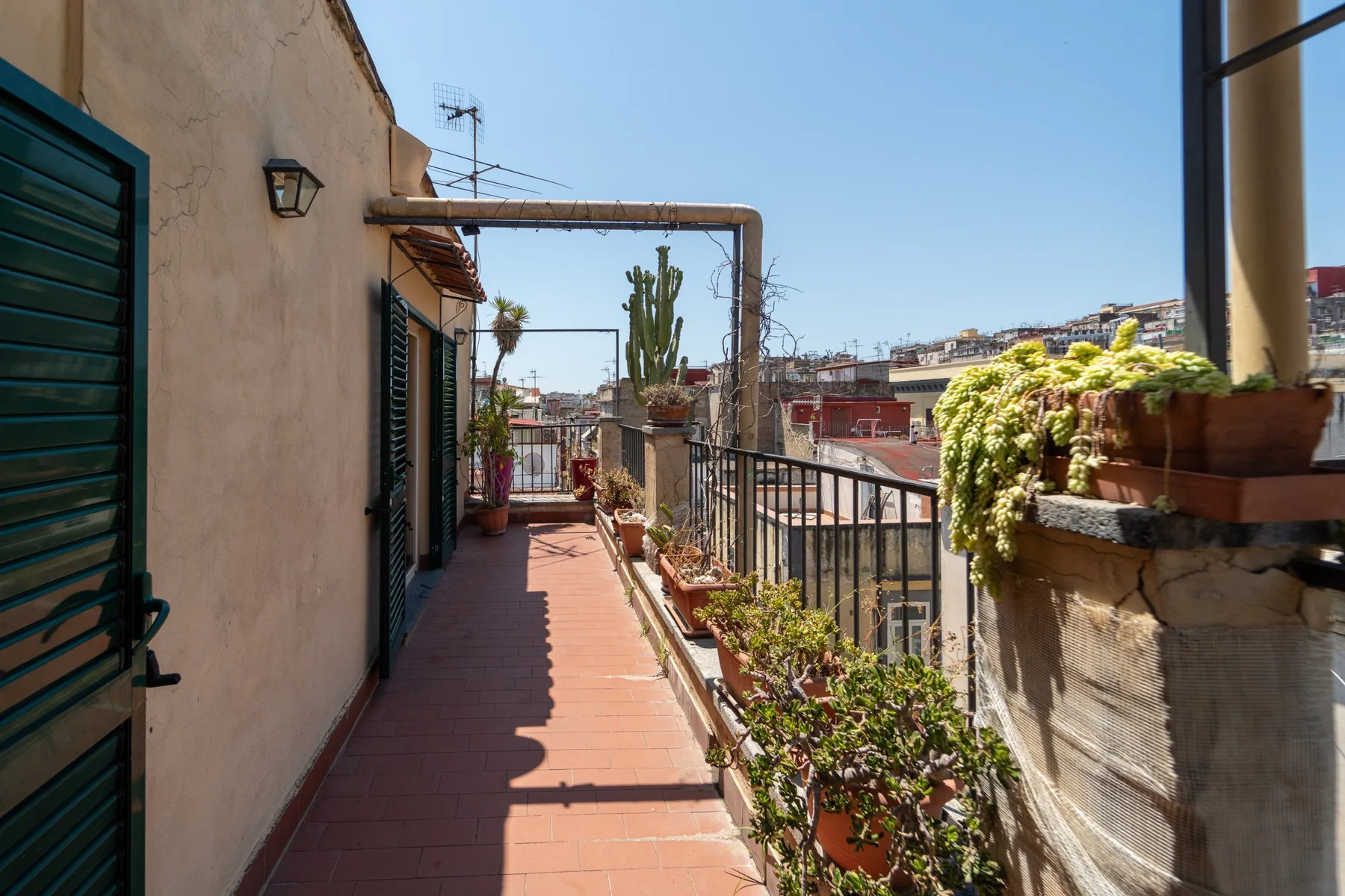 Un pasillo de terraza soleado con plantas en macetas junto a la barandilla.