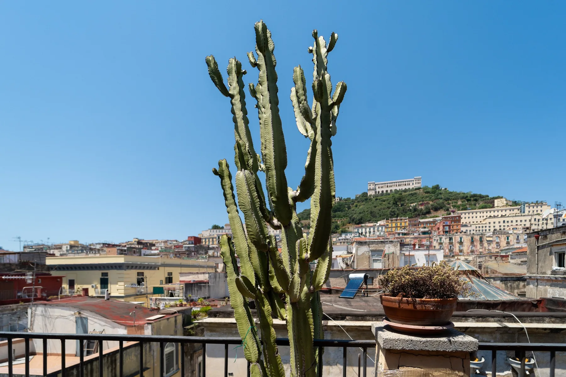 Una terraza en la azotea ofrece vistas de una ciudad en una colina, con un cactus alto en primer plano.
