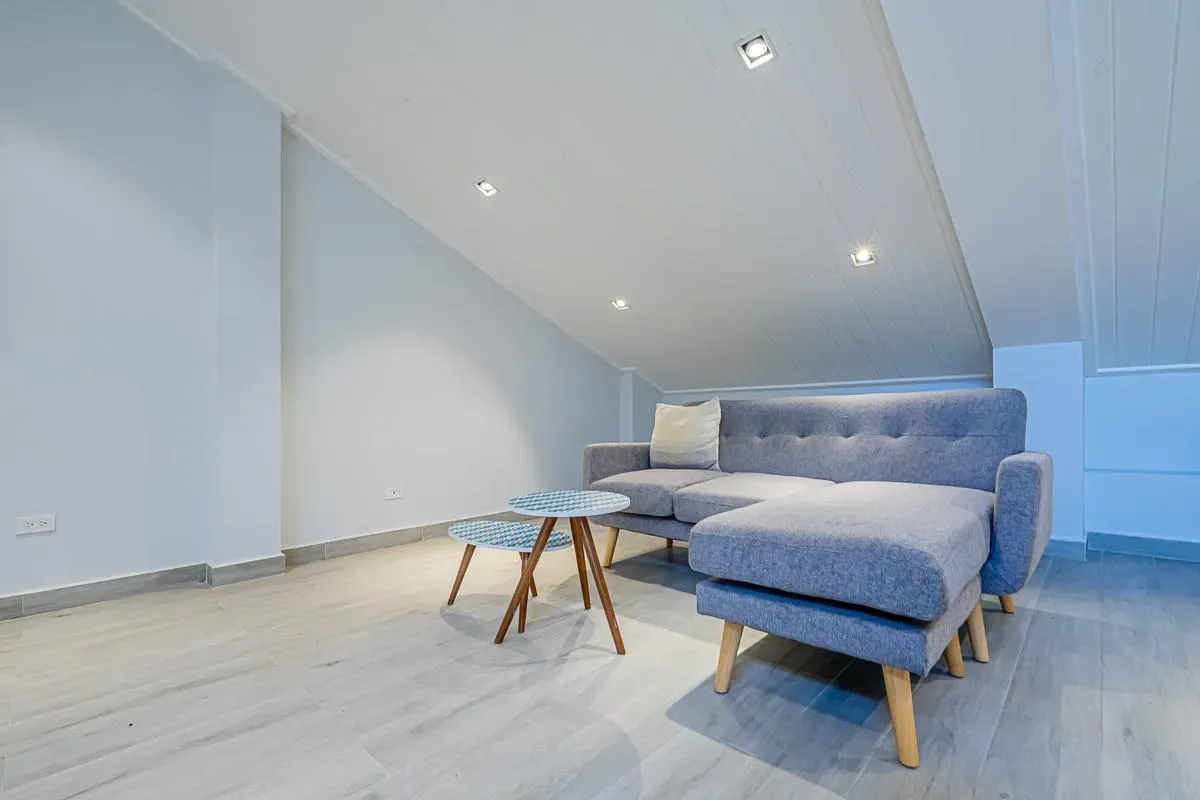 Spacious 1BR in Casco Antiguo