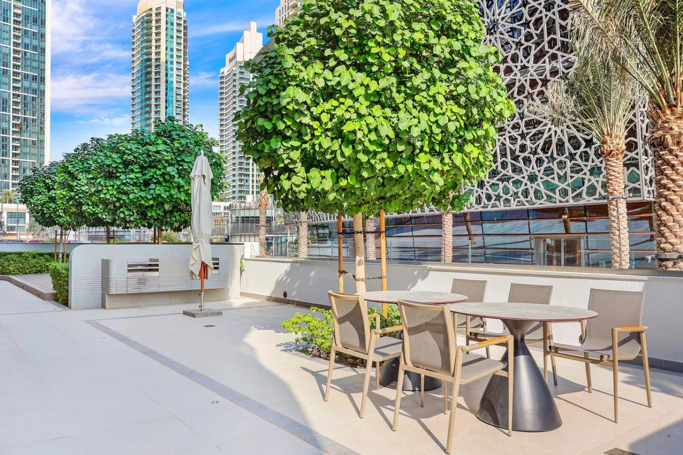 Un patio al aire libre con mesas y sillas bajo árboles frondosos.