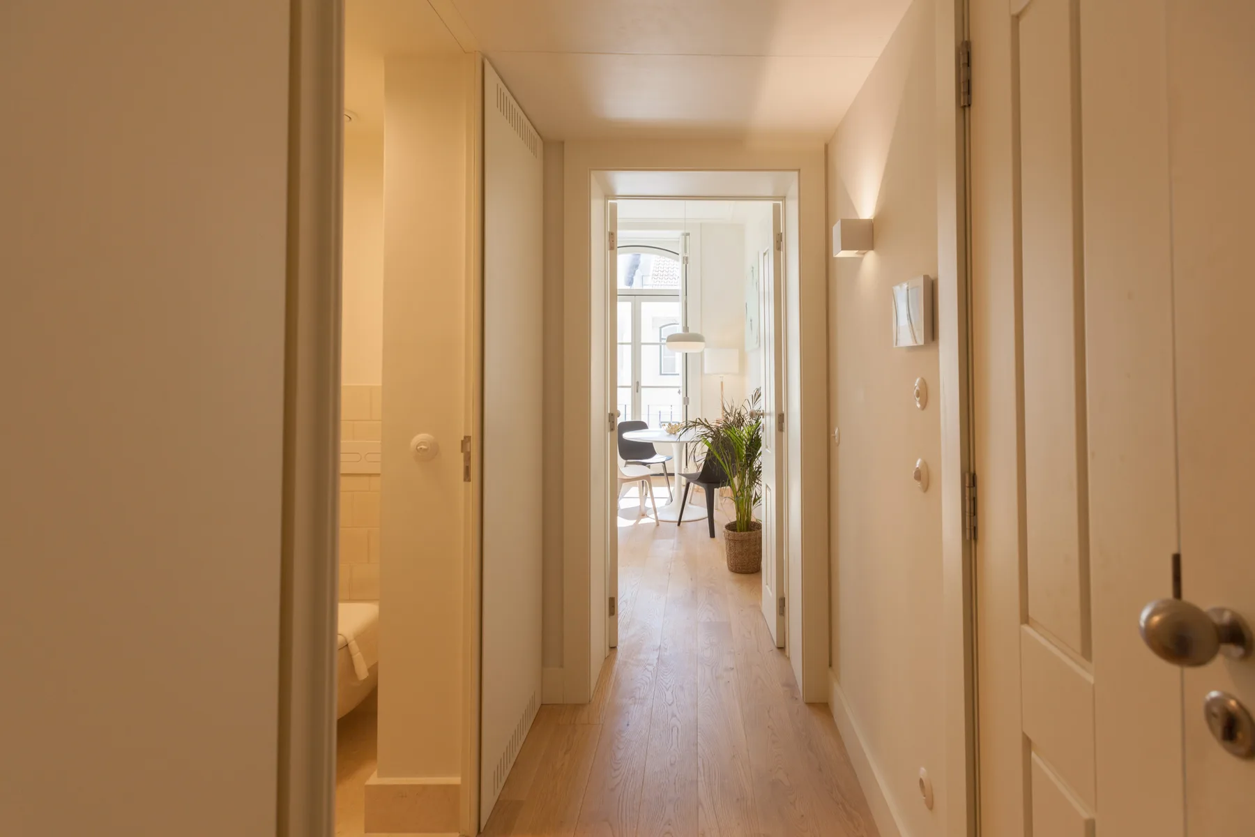 Un pasillo conduce a una habitación luminosa con asientos y una planta en maceta.