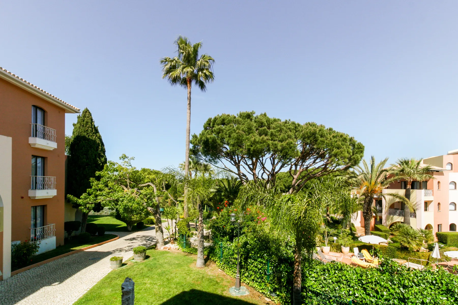 A landscaped garden between apartment buildings, with a palm tree and swimming pool.