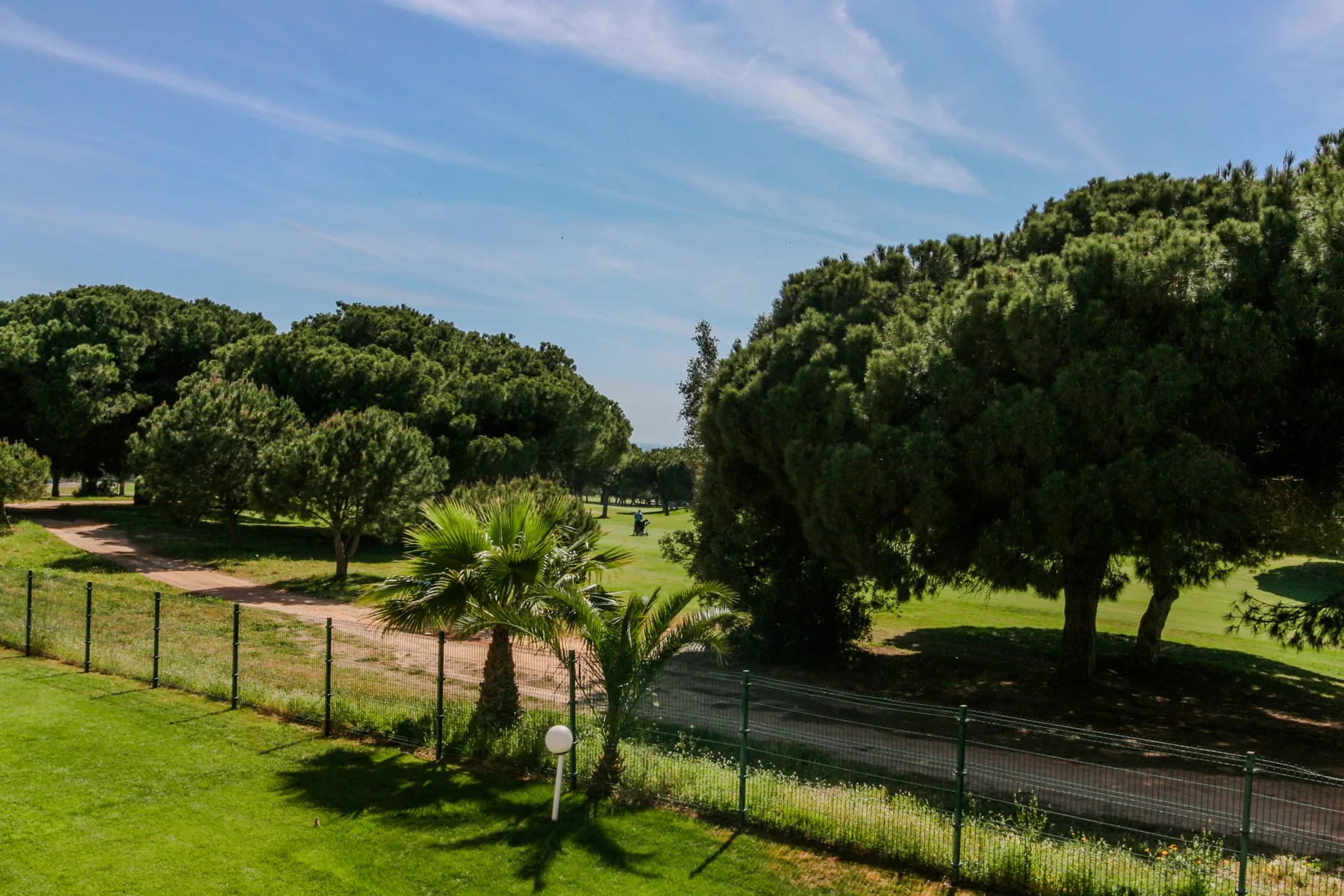 A green landscaped garden with mature trees and a walking path.