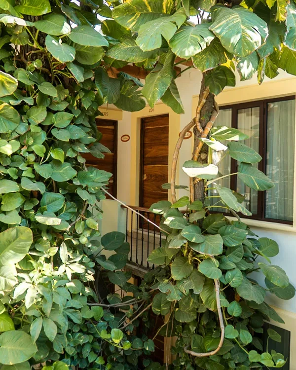 Interior del hotel