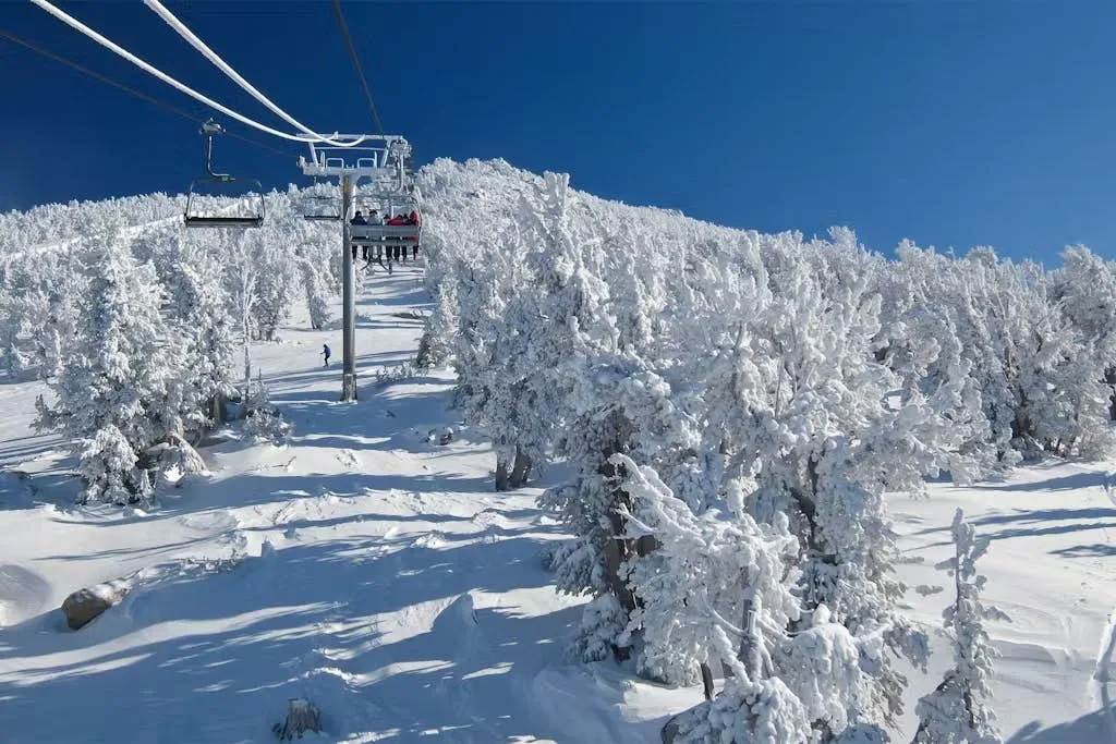 A ski lift crosses a snow-covered forest beneath a clear blue sky.