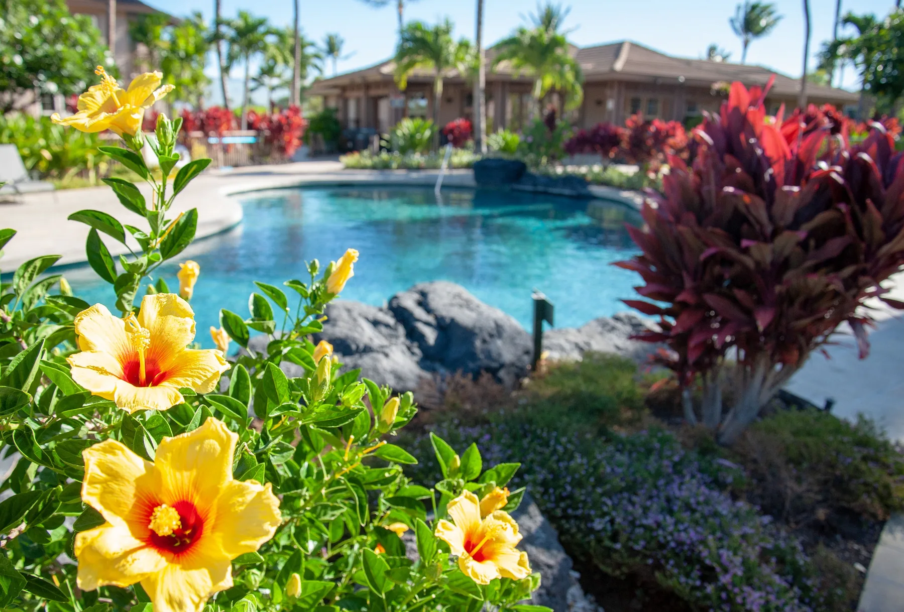 Waikoloa Colony Villas 403