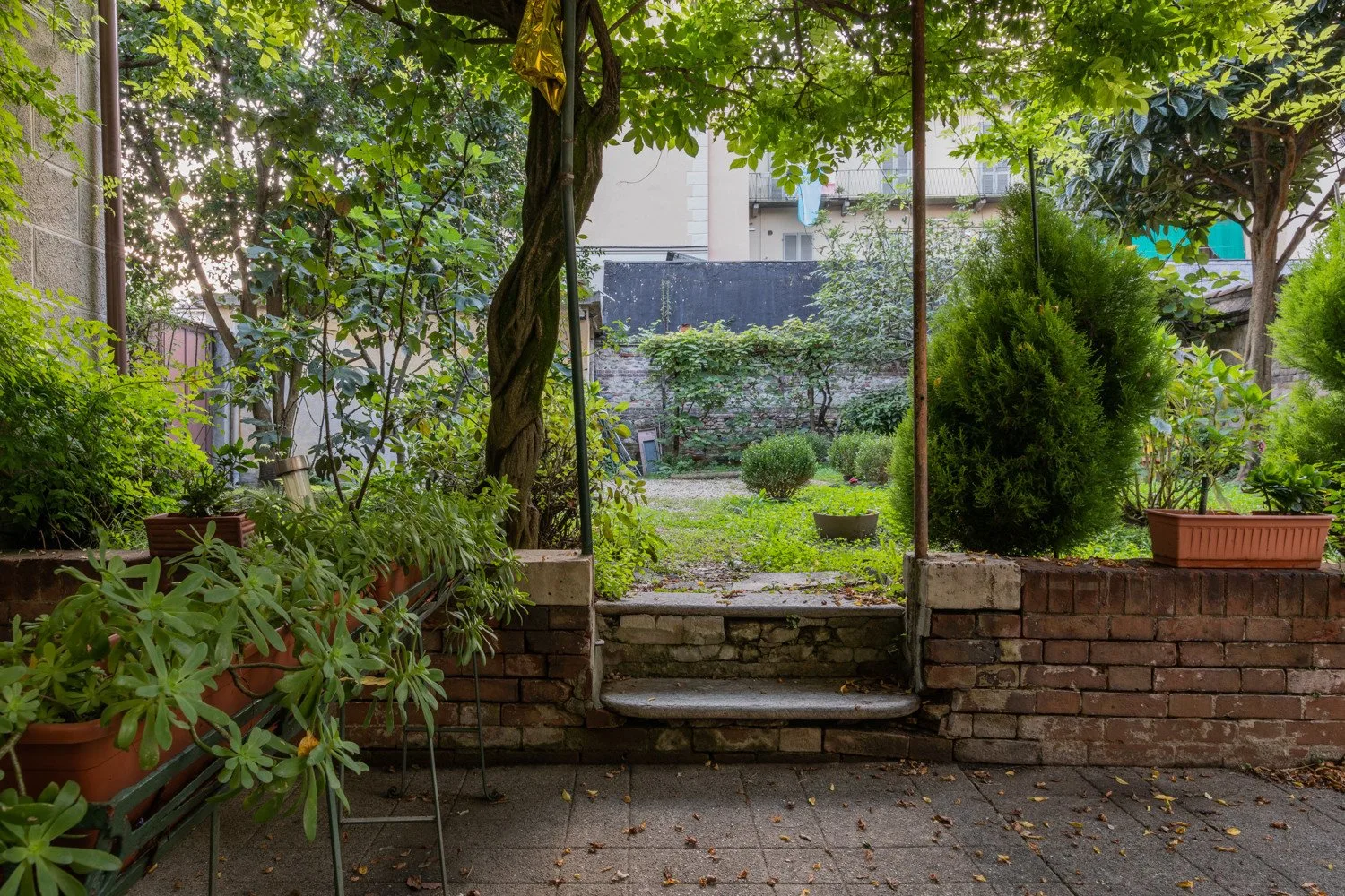 Spacious Apartment near the Po