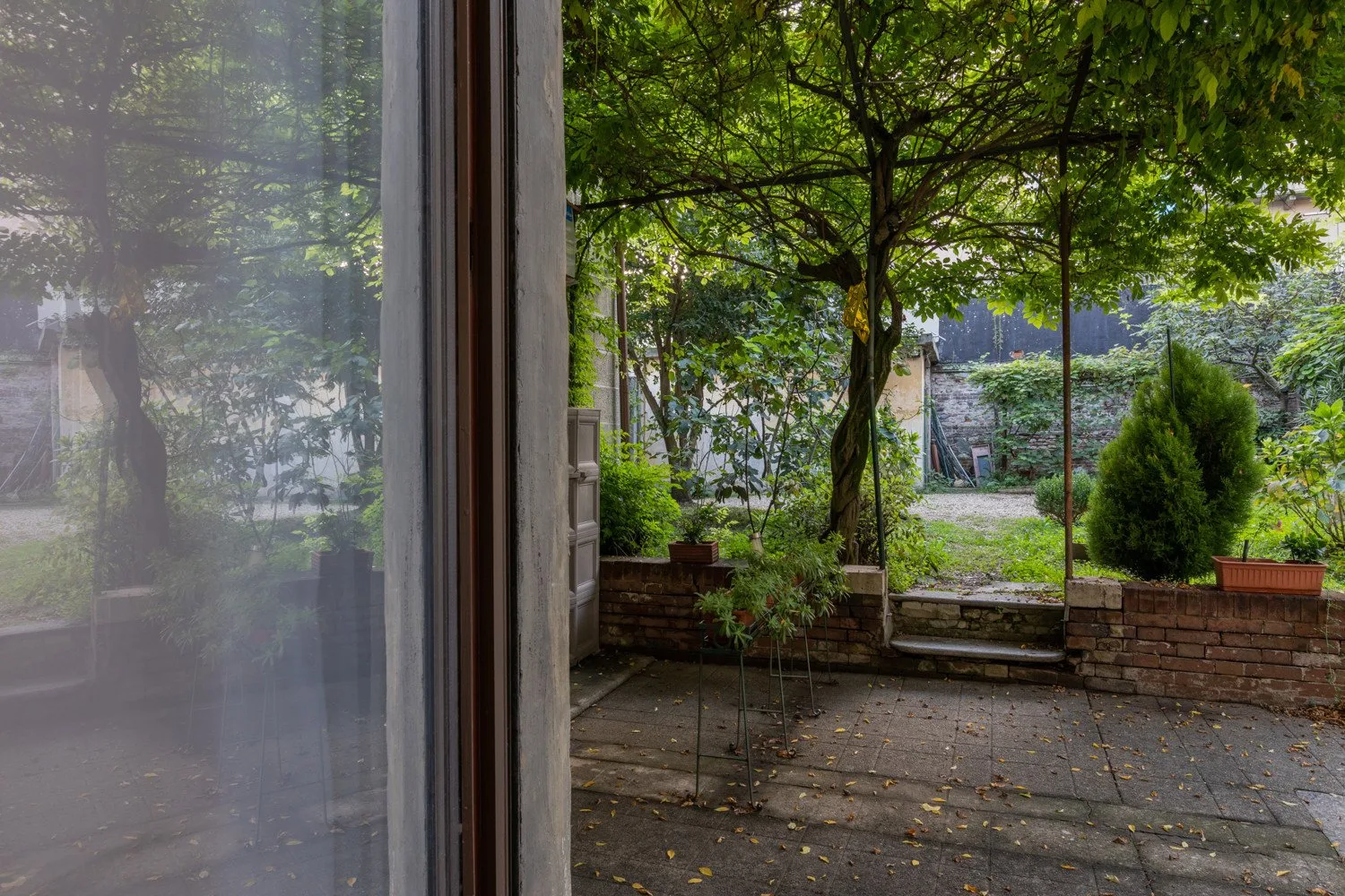 A leafy garden courtyard with a paved patio and surrounding greenery.