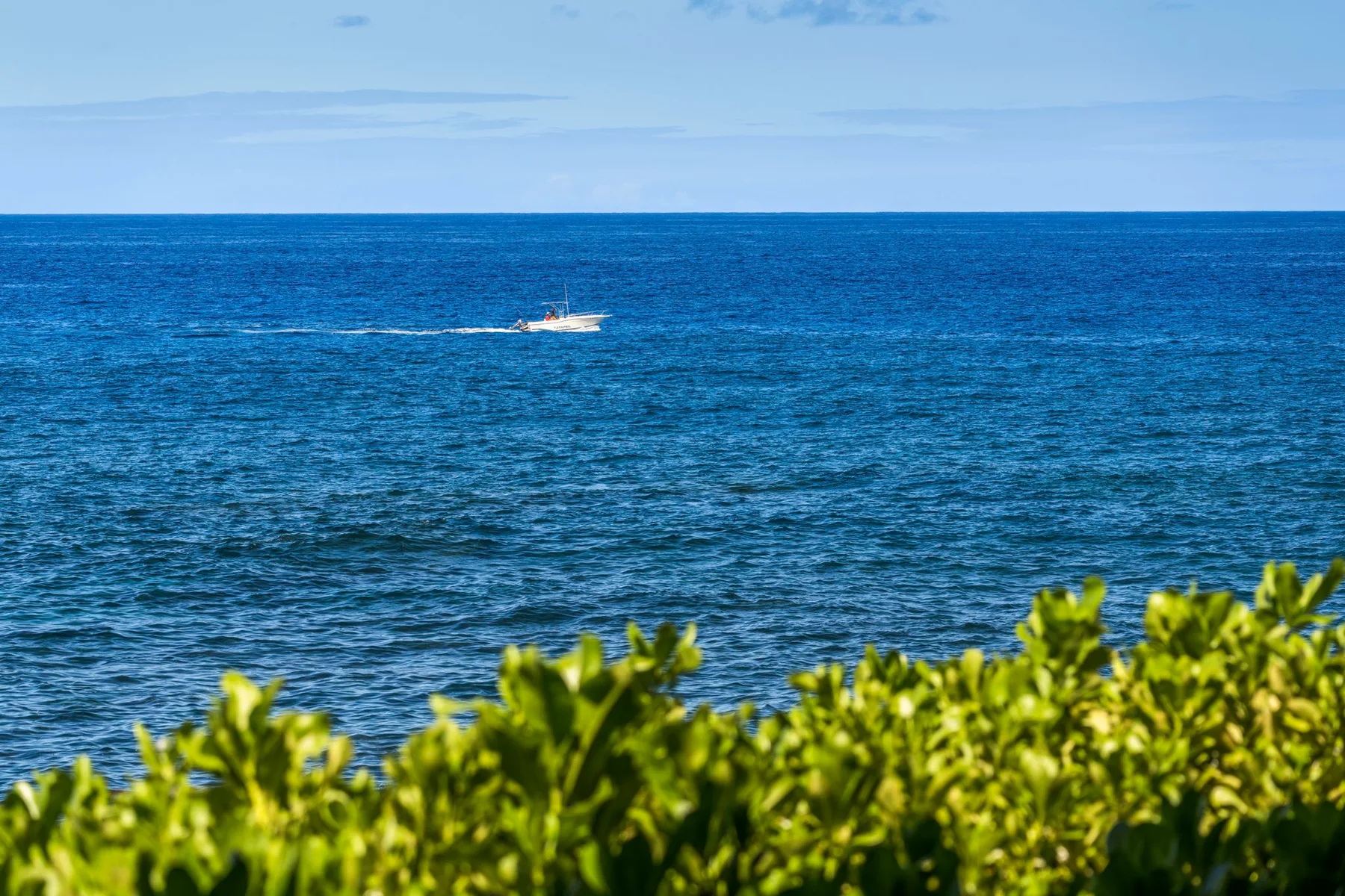 A boat crosses the blue sea beyond leafy green shrubs.