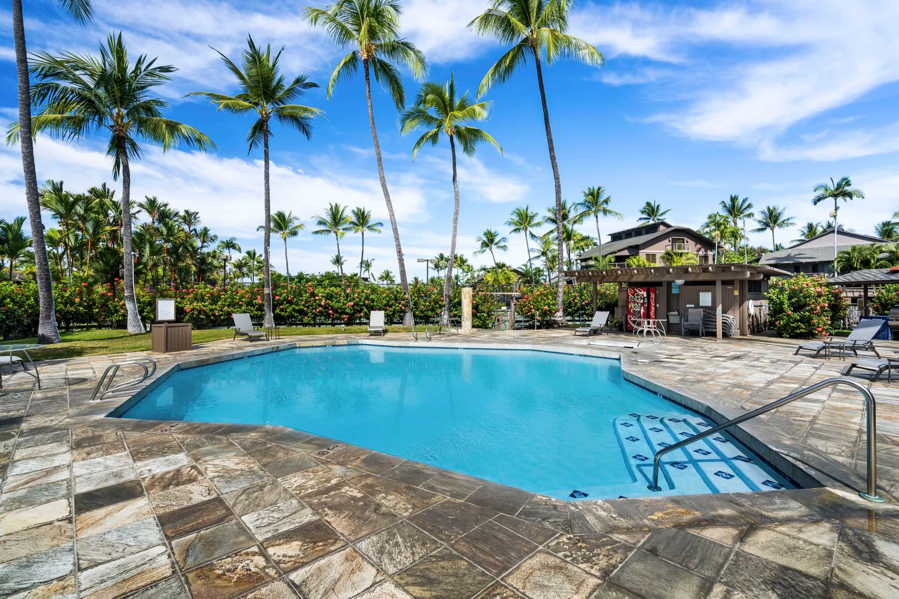 An outdoor swimming pool is surrounded by palm trees and paved deck space.