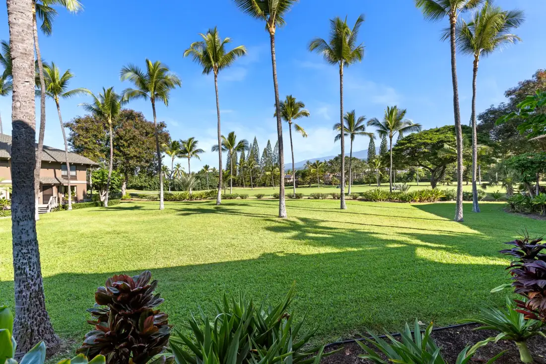 A sunny tropical lawn with tall palm trees and landscaped greenery.