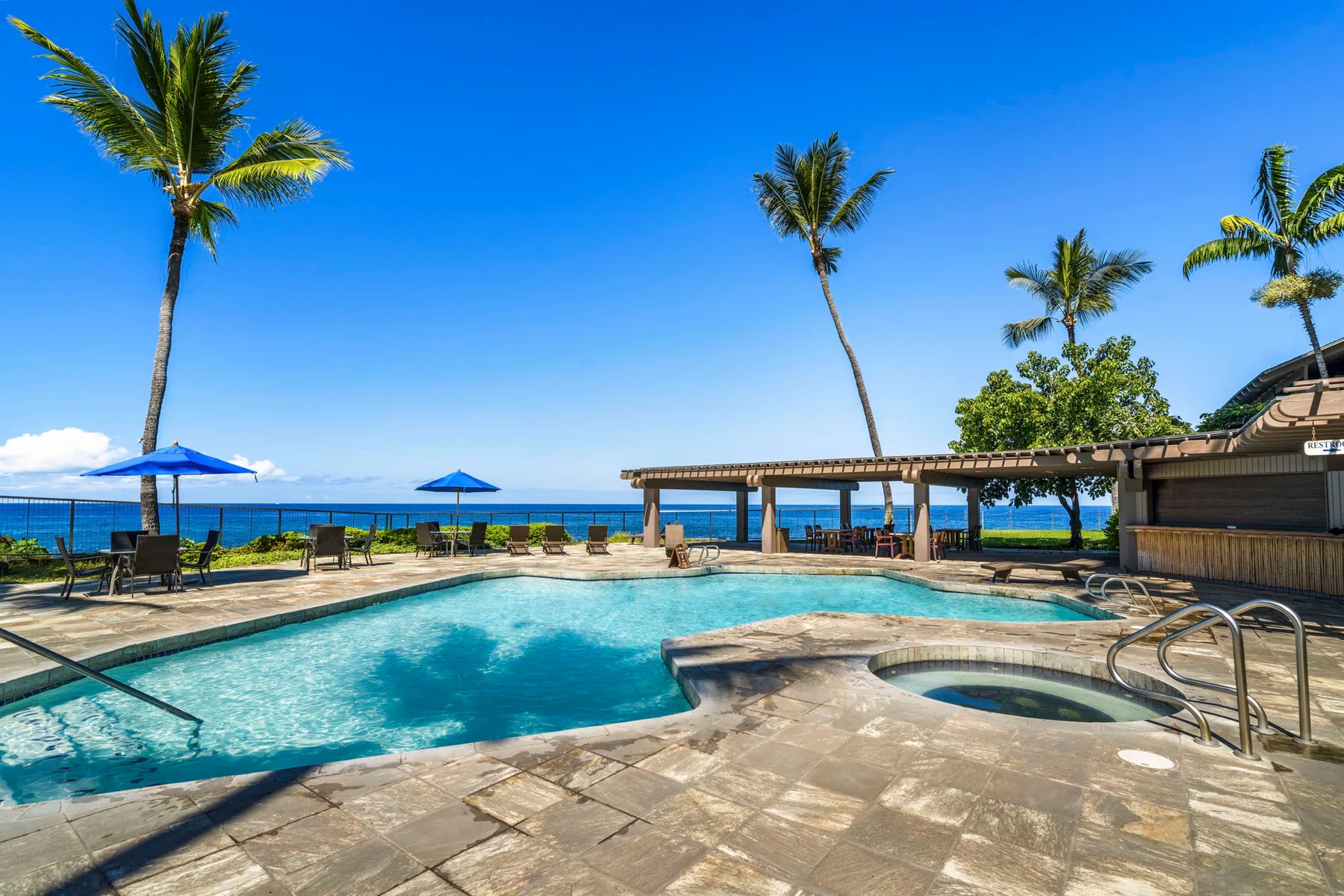An outdoor swimming pool and spa sit beside palm trees and the ocean.