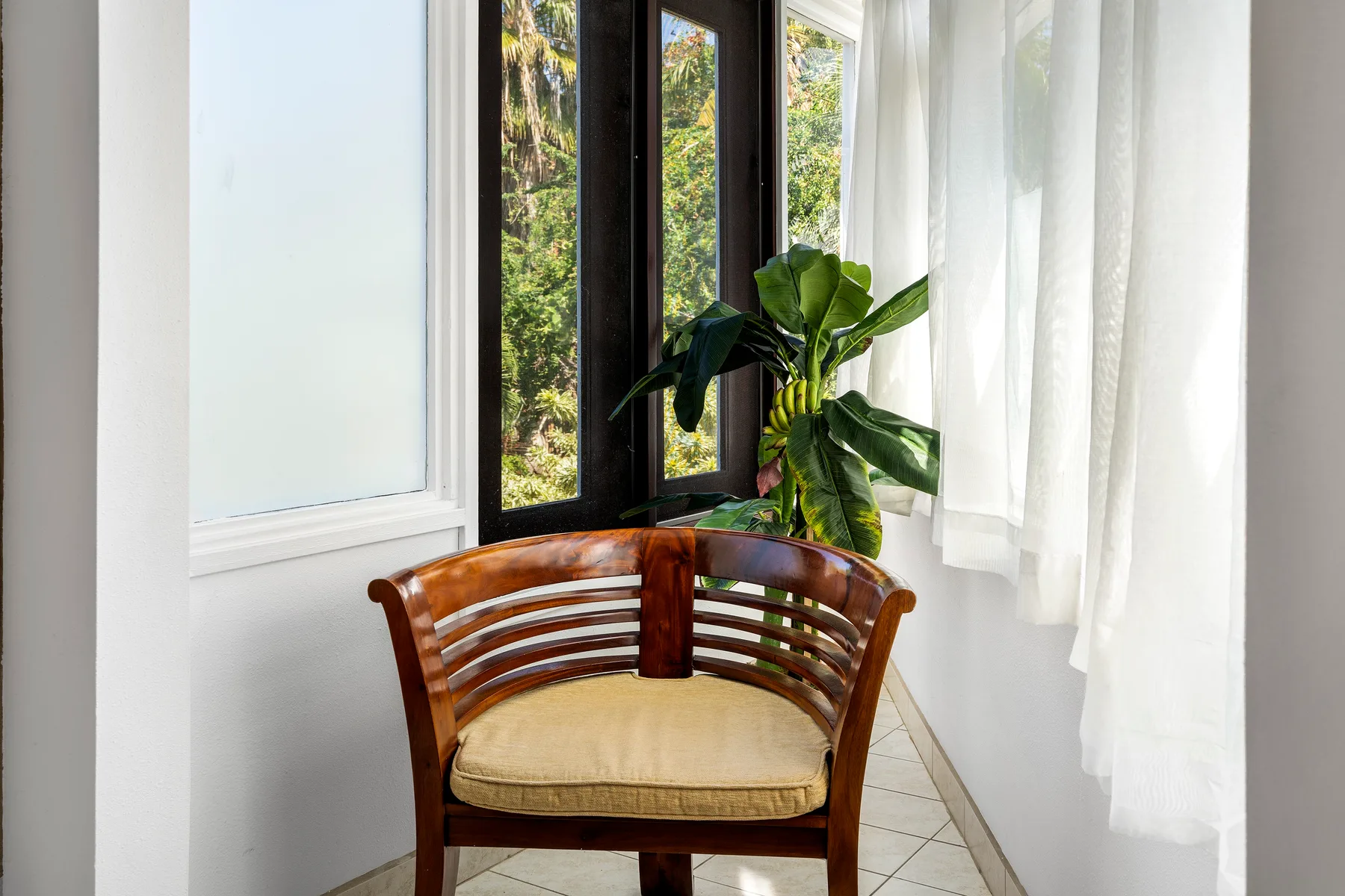 Una zona de asientos de madera junto a ventanas altas, cortinas blancas y una planta frondosa.