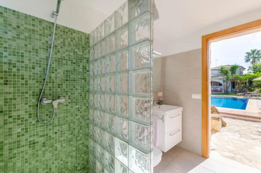 Un baño alicatado con ducha y una pared divisoria de bloques de vidrio.
