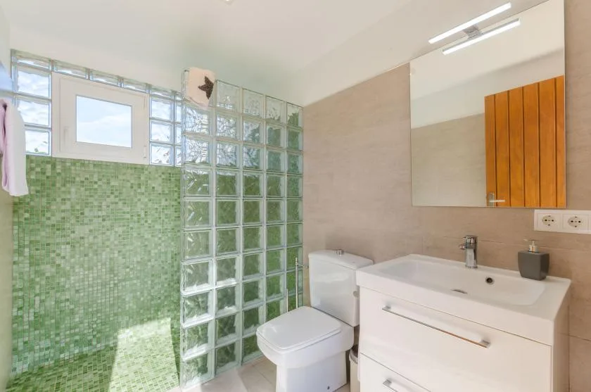 Un baño con lavabo, inodoro y zona de ducha con bloques de vidrio.