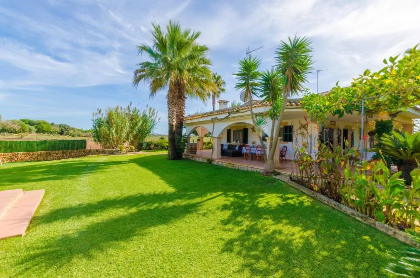 Una casa y un patio junto a un amplio césped verde con palmeras.