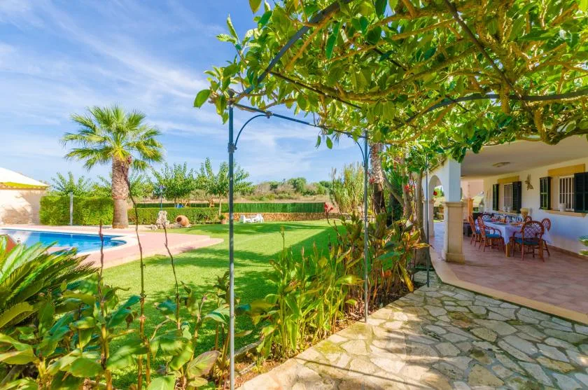 Un patio ajardinado bajo una pérgola frondosa da a un césped y una piscina.