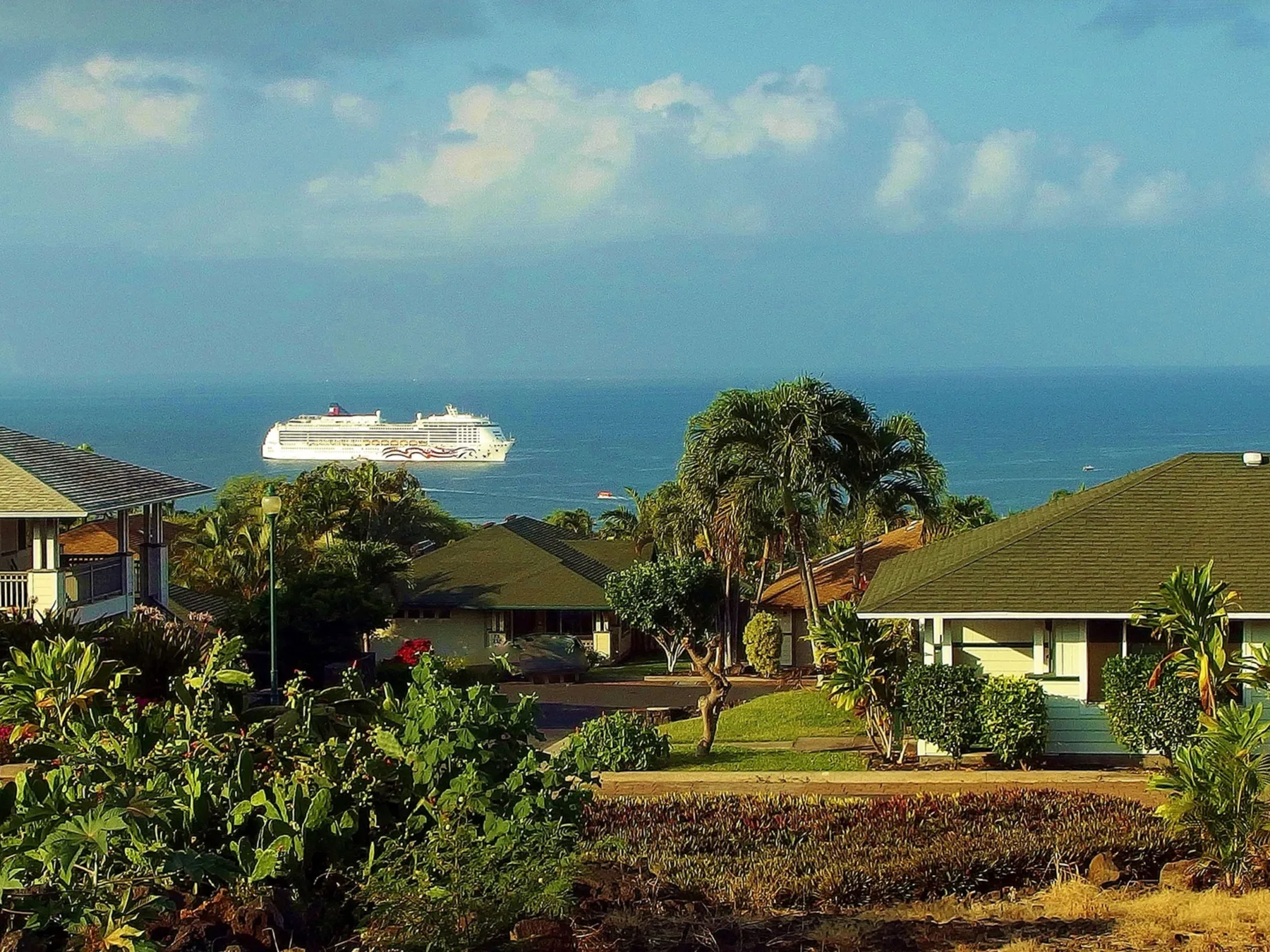 Una propiedad ajardinada junto a la costa mira al océano, con un crucero visible mar adentro.
